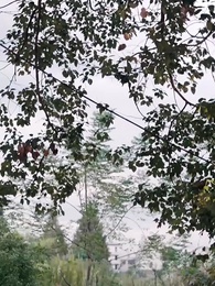 A los 40, rompí mi destino - Episode 1