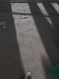 第23集 - 她靠惡名整頓豪門