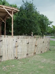 Episode 57 - A Crow in Peacock Feathers