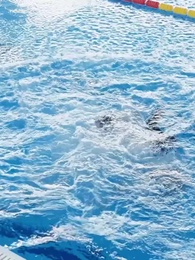 Fitnah Pembunuhan dan Doping: Balasan yang Tak Terduga - Episode 7