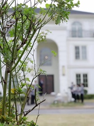 開除我後,太子爺家破產了 - Episode 1