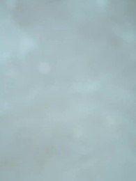 Kaçırılmış Aşk - Episode 13