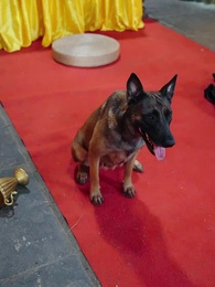 [Doblado]La Profanación del Dragón - Episode 43