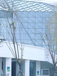 第29集 - 三年簽到，球神歸來