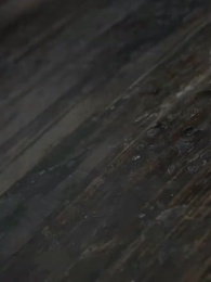 斬情緣斷妄念我只想成仙 - Episode 26