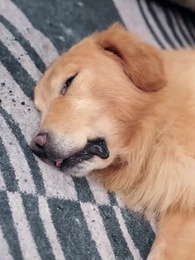 三年保姆，一日夫人夢 - Episode 8