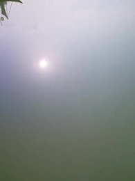 有龍則靈 - Episode 64