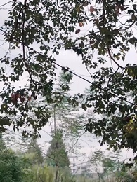 第1話 - 花咲く頃、あなたのもとへ