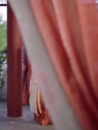 궁궐 안은 고독의 연속이다 - Episode 43