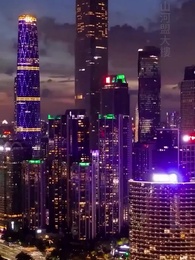 第31集 - 高手下山,這個保鏢太無敵