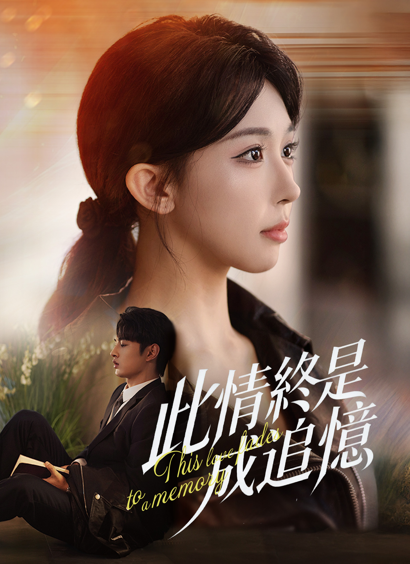 《此情終是成追憶》封面