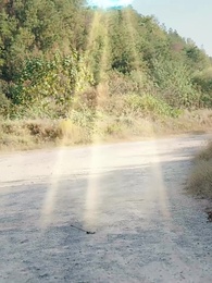 第37集 - 此情終是成追憶