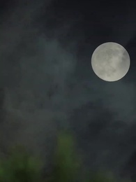 깜짝 결혼, 달콤한 아내의 거친 면모 - Episode 52