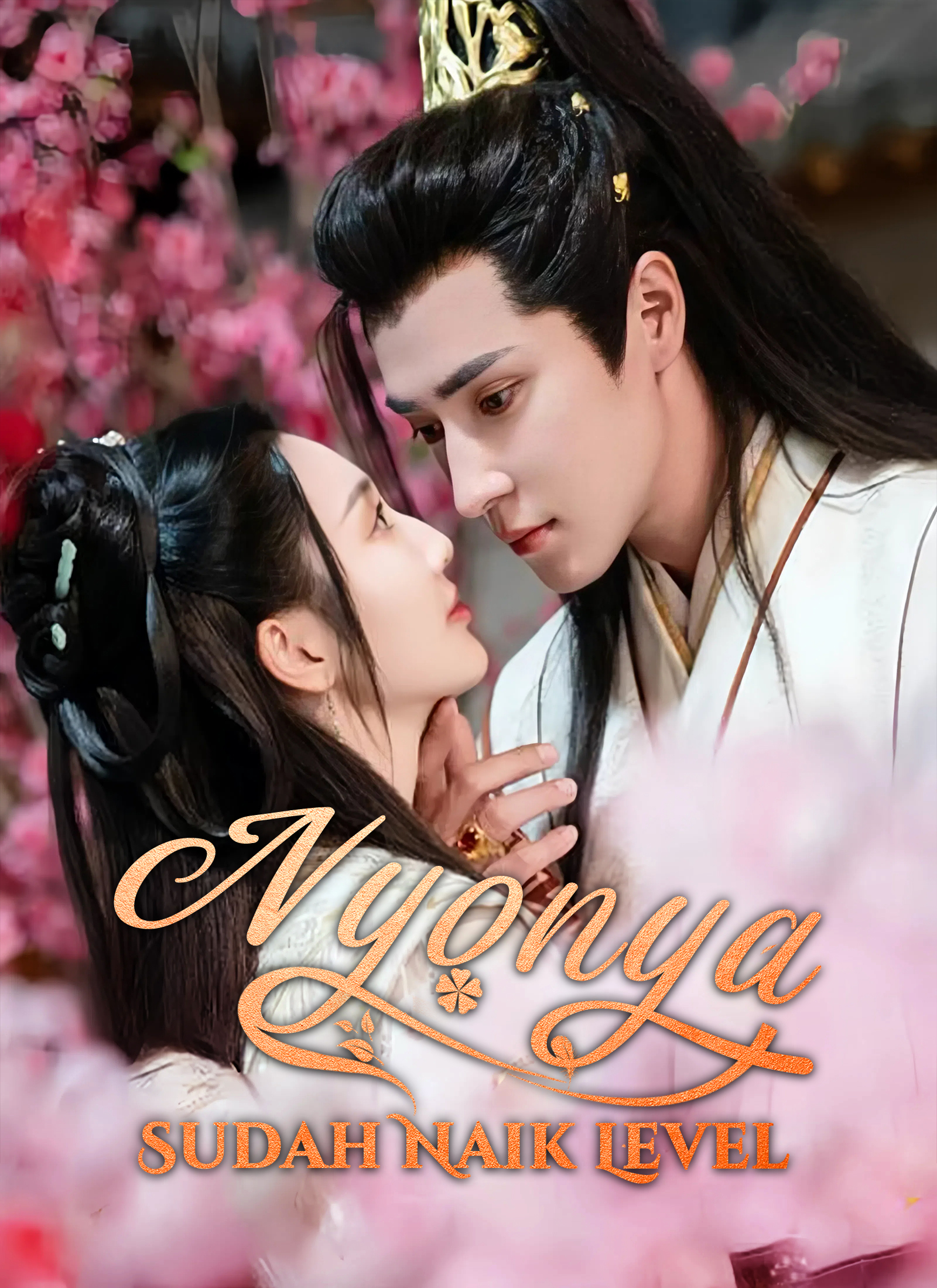 Nyonya Sudah Naik Level