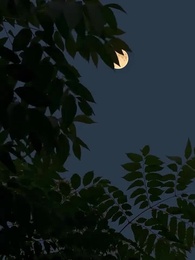 [Dijuluki]Rahasia Gelap Dewa Gunung - Episode 2