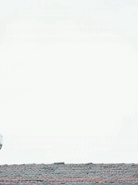 1화 - 깜짝 결혼, 달콤한 아내의 거친 면모