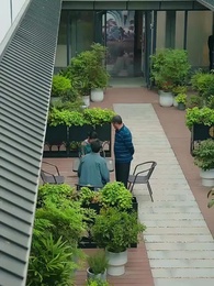 Tập 71 - Ván Cược Thương Trường