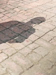 Episode 44 - [Dubbed]No Honor, No Marriage