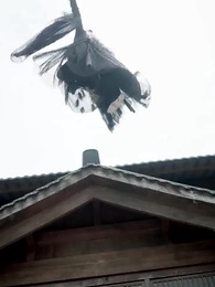 Episode 39 - Fated to Love You, Twice