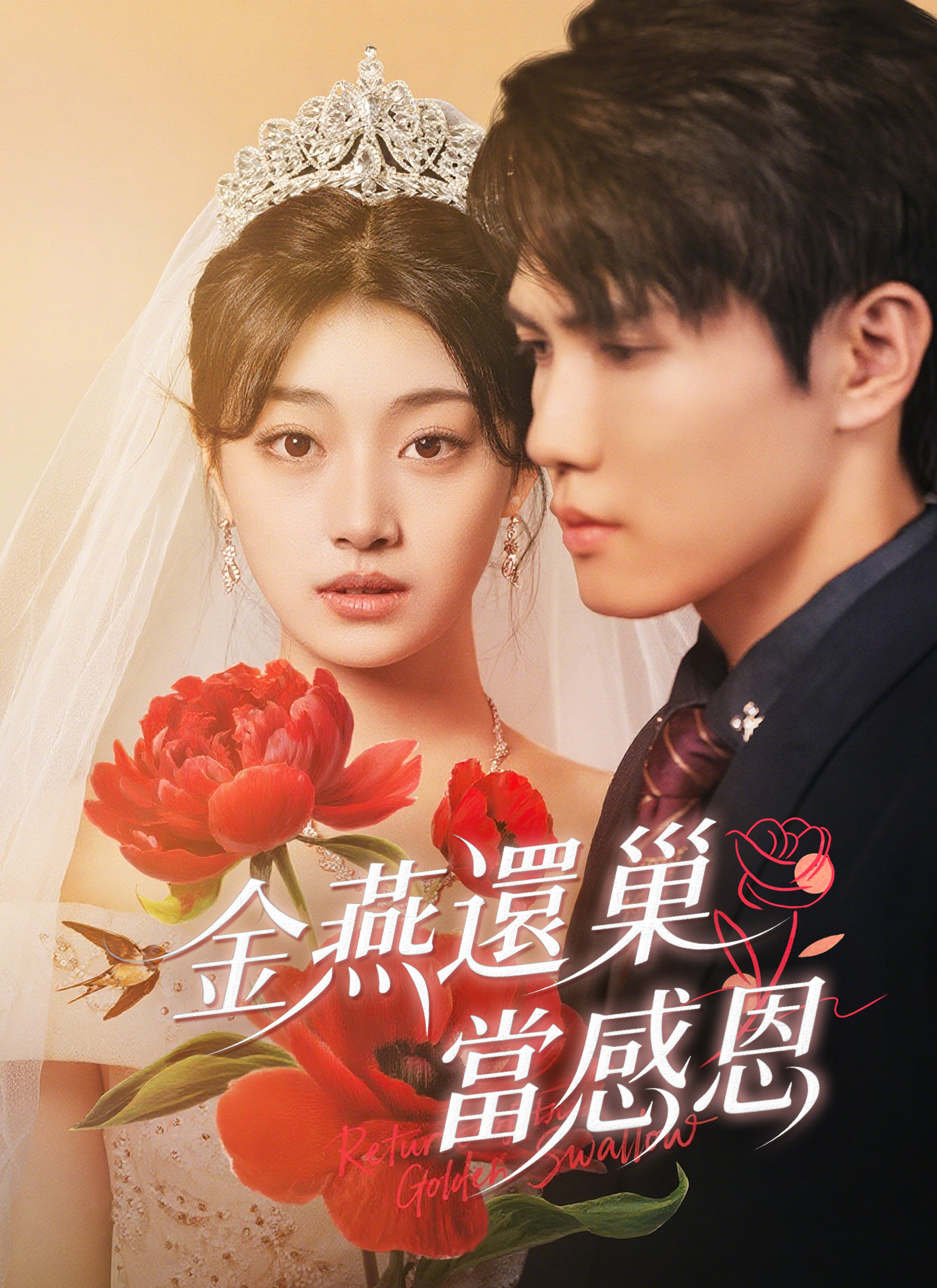 金燕還巢當感恩