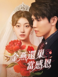 金燕還巢當感恩