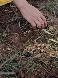 Episode 50 - The Future Prince's Chronicle