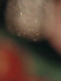 Bölüm 33 - Yitik Yıllar, Yeni Hayat