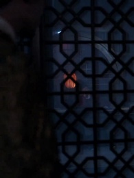 Episode 62 - The Future Prince's Chronicle