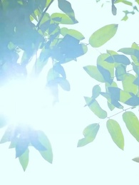 Episode 3 - The Future Prince's Chronicle