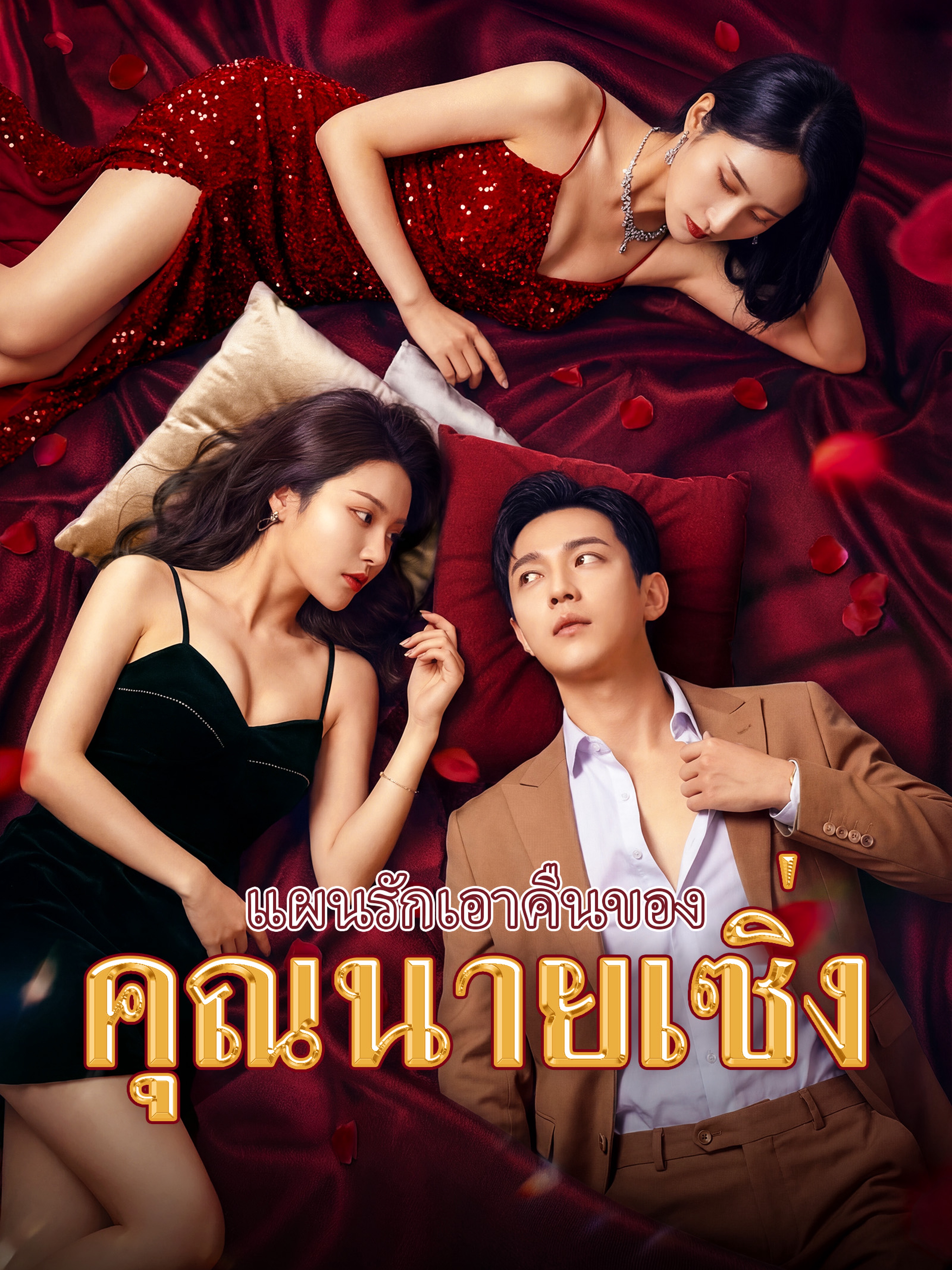 แผนรักเอาคืนของคุณนายเซิ่ง (พากย์ไทย)