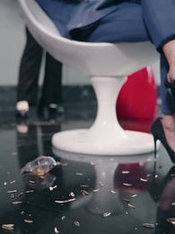 Bölüm 1 - Gölgedeki Patron