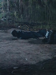 第10集 - 別動我的電閘