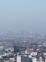 Серия 33 - Золотая ласточка возвращается в гнездо