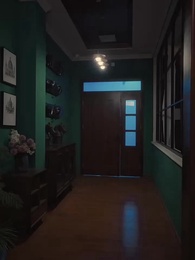 ลวงรักในเงาแค้น - Episode 11