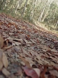 ตอนที่ 60 - ความลับและการทรยศ