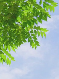 Tập 49 - Một Kiếm Đổi Giang Sơn