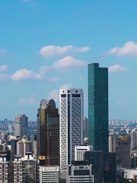 Серия 48 - Золотая ласточка возвращается в гнездо