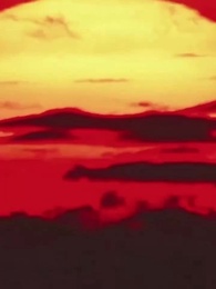 Episode 25 - Tidak Sengaja Jatuh Cinta