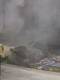 Episode 11 - Prodigy Lawyer in a Child's Body