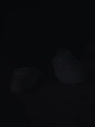 第31集 - 千秋是我，萬代也是我