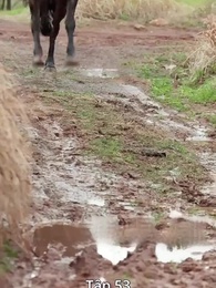 Tập 53 - [Lồng tiếng]Cung Tỏa Ngọc Lan