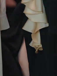 الحلقة 31 - الرئيسة السرية