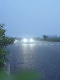 الحلقة 36 - لقاء عرضيٌ في قطار السرعة