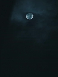 Tập 42 - Huyết Ảnh Đế Đô