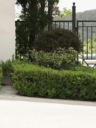 [Doblado]Amor de arrepentimiento - Episode 1