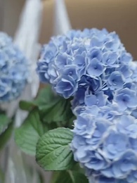 不倫の華 〜福岡・既婚者マッチングアプリ篇〜 - Episode 28