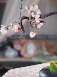 Tập 23 - Huyết Ảnh Đế Đô