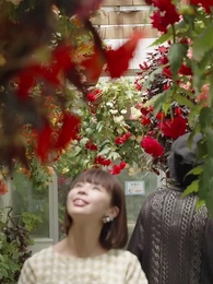 不倫の華 〜福岡・既婚者マッチングアプリ篇〜 - Episode 19