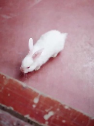 이 구역의 미친 왕비는 나야 - Episode 47