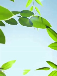 Episodio 58 - Fiorire sul Cammino Medico